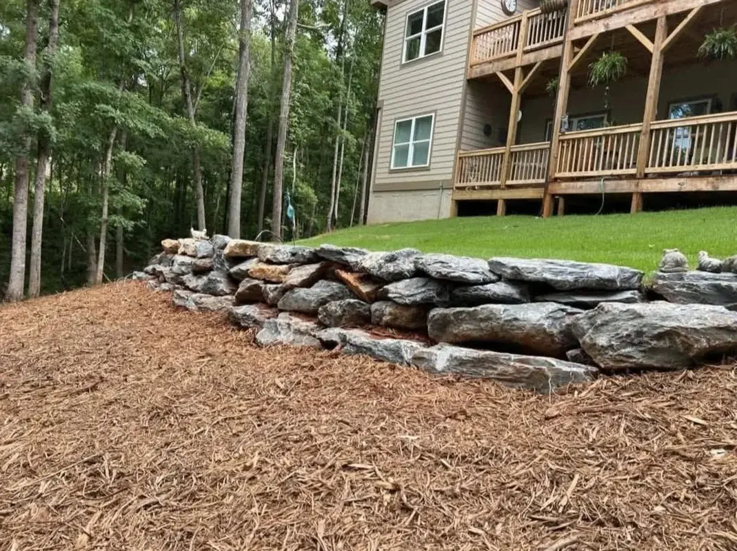 Tree Service